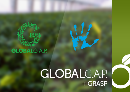 GlobalG.A.P dla Fructoplant Sp. z.o.o